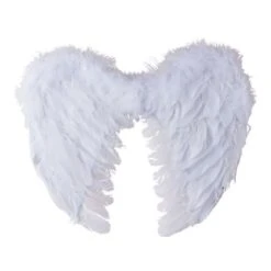 Ailes D'Ange En Plumes Blanches 40cm 