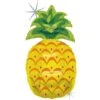 Ballon Fruit Ananas 