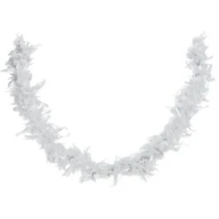 Boa Plumes 1,80m 50 G Blanc 