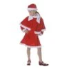 Costume Mère Noël Enfant 