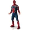 Déguisement Iron Spiderman Infinity War Homme 