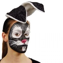 Fard Gras Palette Ronde (plusieurs Coloris)  -Déguisement Magique Promos Magasin fard gras noir