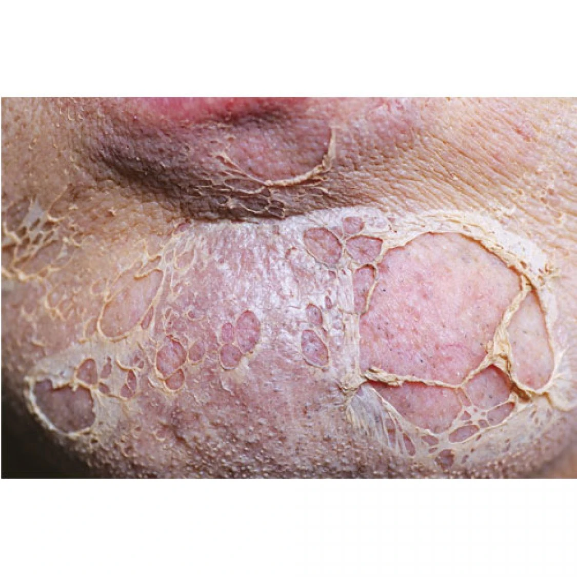 Latex Liquide 118ml 3 Latex Liquide 118ml – Image 3