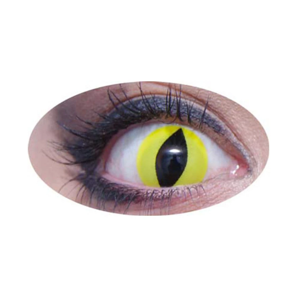 Lentilles De Contact Fantaisie Oeil De Chat Jaune 1 Lentilles De Contact Fantaisie Oeil De Chat Jaune