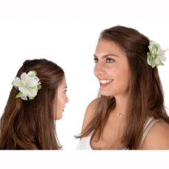 Pince à Cheveux Hawaïenne 