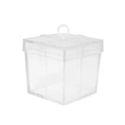 Poids Ballon Cadeau Transparent 50gr 